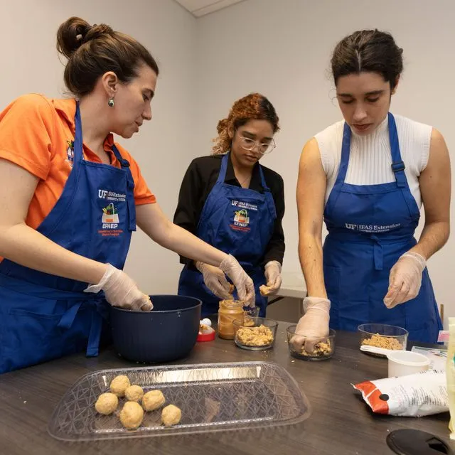 thumbnail for publication: Intercultural Competencies: Understanding Cultural Relativism